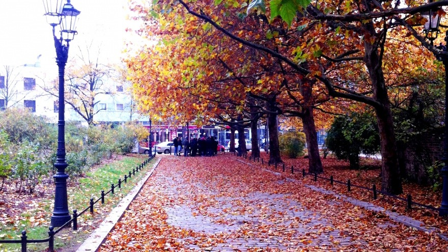 herbstlicher Weg herbstlicher Weg